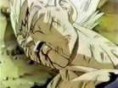 /album/tantissime-foto-di-vegeta/vegetamuore-jpg/
