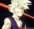 /album/tantissime-foto-di-gohan/gohanscheggia-jpg/