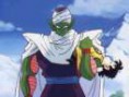 /album/tantissime-foto-di-piccolo/piccologall9-jpg/
