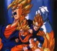 /album/tantissime-foto-di-vegeth/vegeth3-2-jpg/