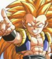 /album/tantissime-foto-di-gotenks/gotenks5-jpg/