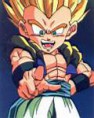 /album/tantissime-foto-di-gotenks/gotenksindica-jpg/