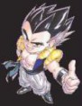/album/tantissime-foto-di-gotenks/gotenksok-jpg/